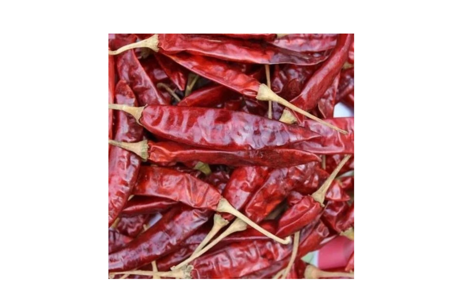 Desiccated Coconut Powder