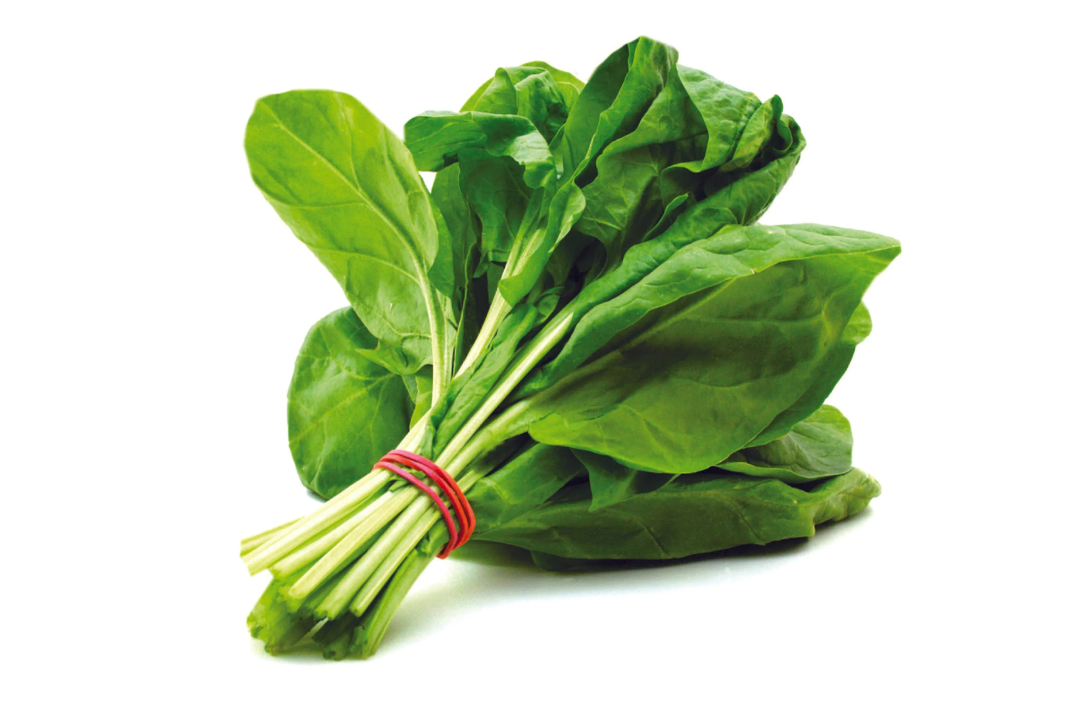Spinach