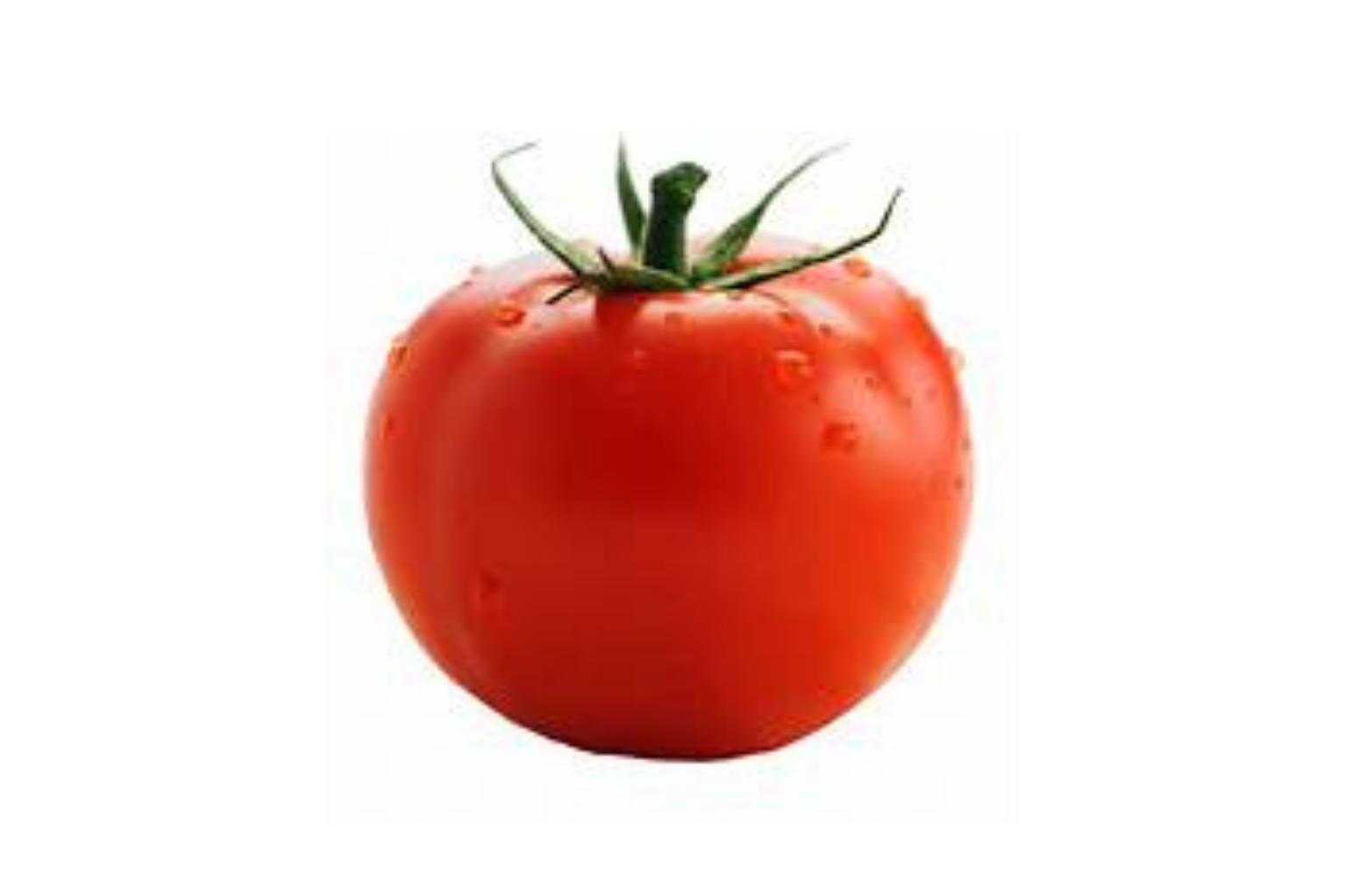 Tomato